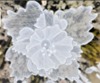 LUSTRE LUMIERE DE PLAFOND 210cmxH60cm