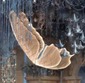 LUSTRE LUMIERE DE PLAFOND 60CM / 80CM / 100CM / 120CM / 140CM